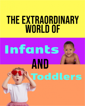 The Extraordinary World of Infants and Toddlers - ONLINE - The Appelbaum  Training Institute