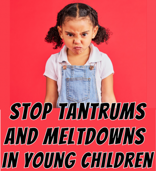 Marty Appelbaum presents Stop Tantrums and Meltdowns in Young Children