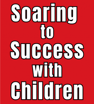 Image for Soaring for Success
